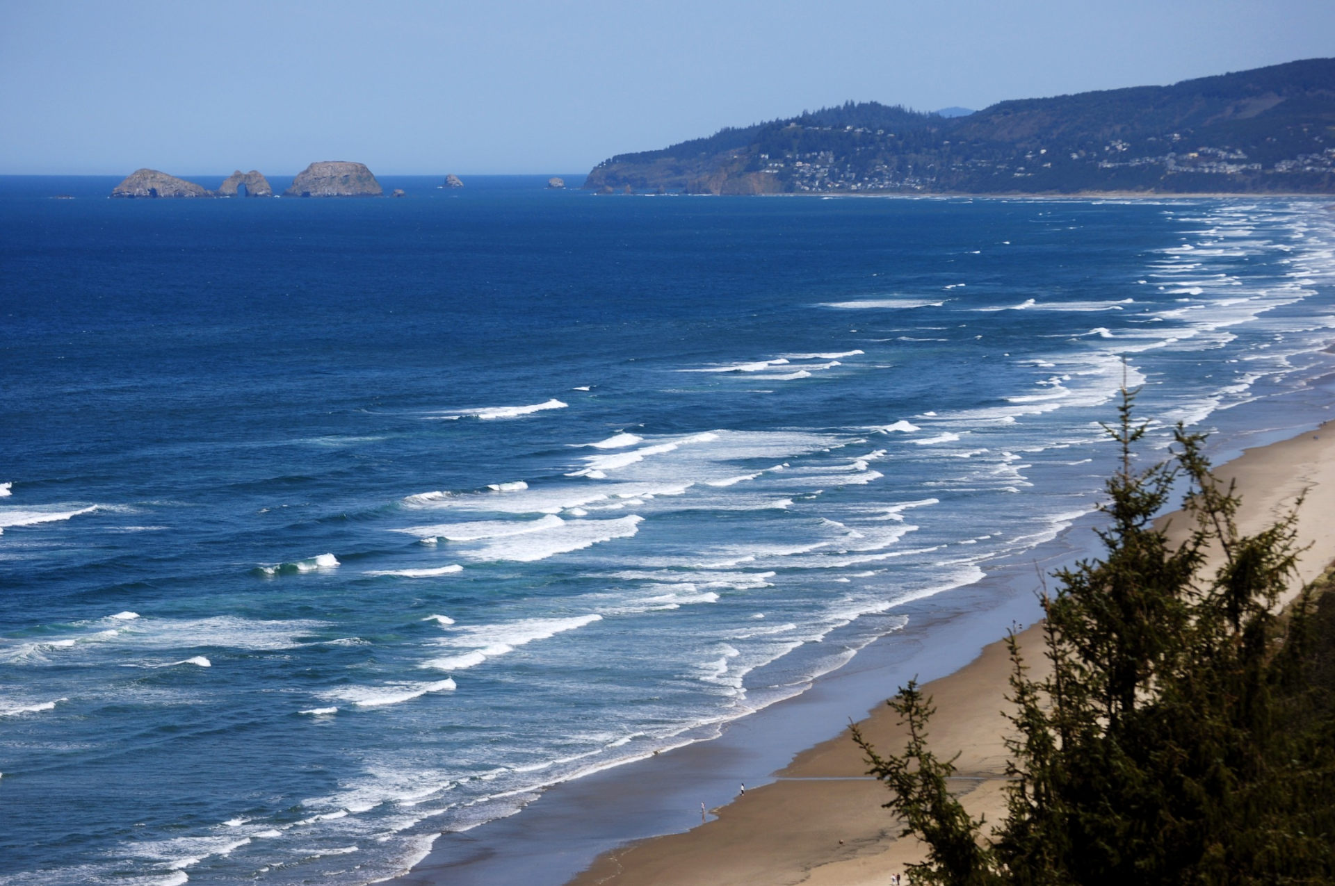 7c9de36f1bc41981067c20d2821aa6f0.png