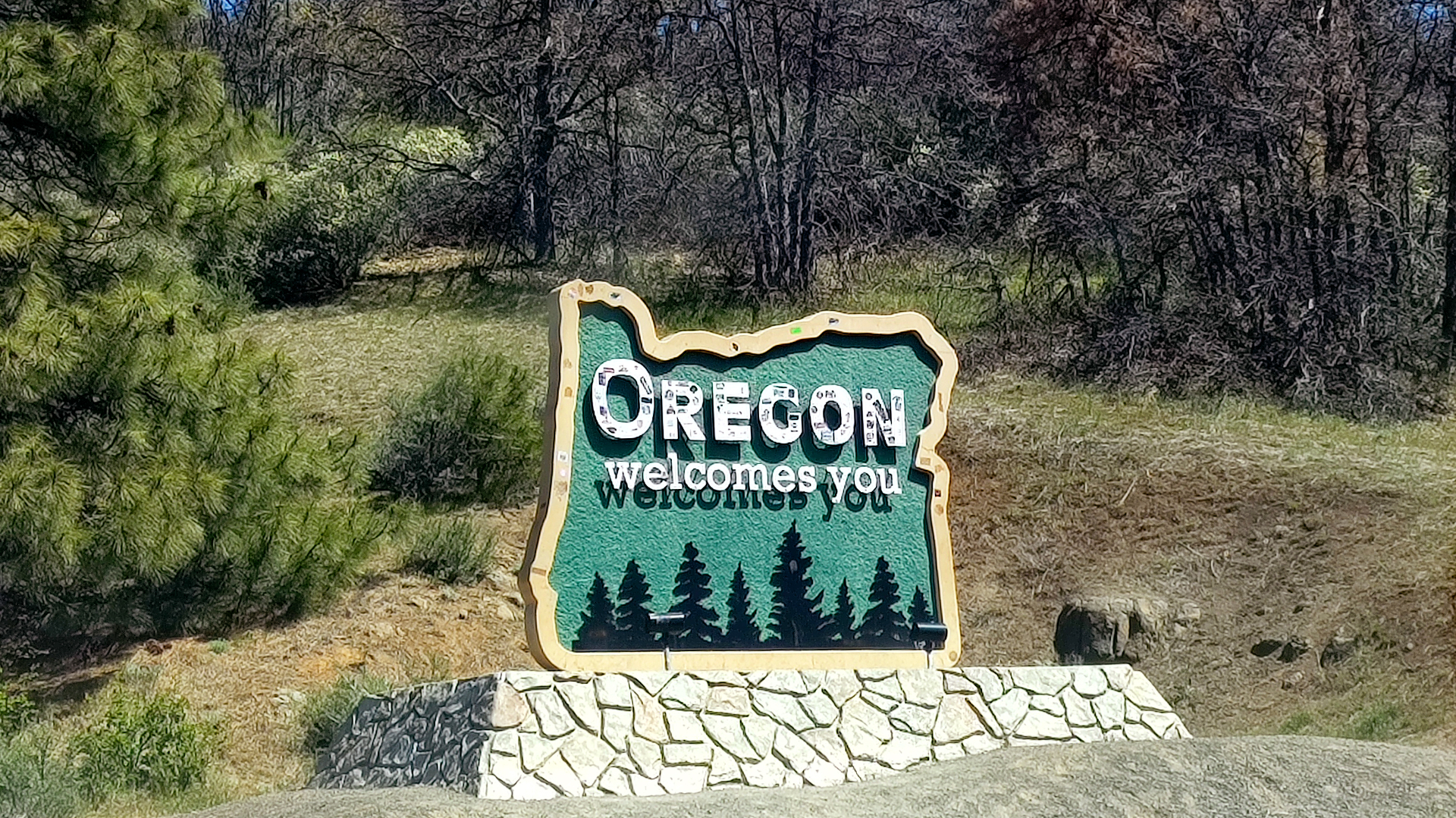 20250422_120908 copy.jpg