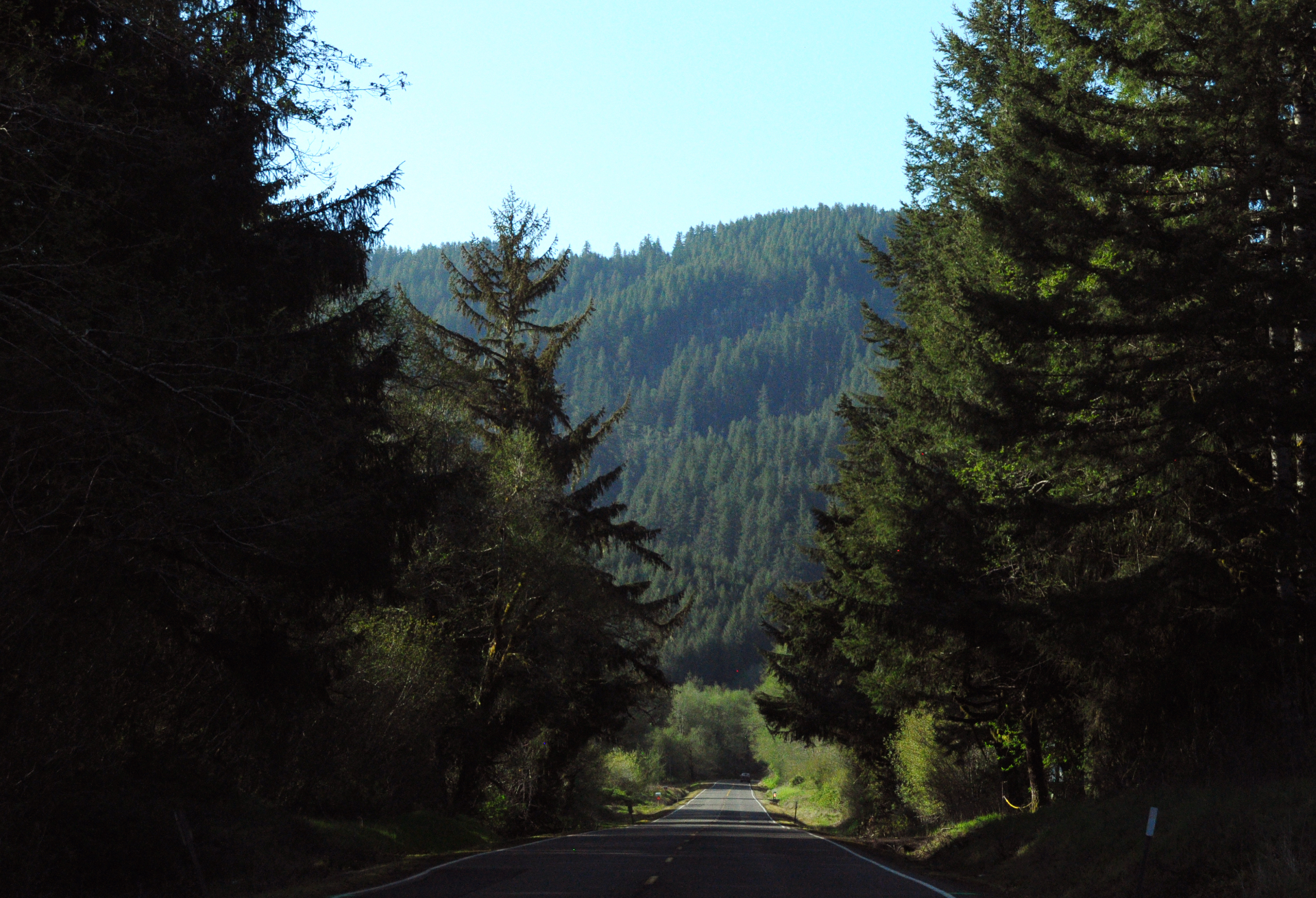 DSC_0984 copy.jpg