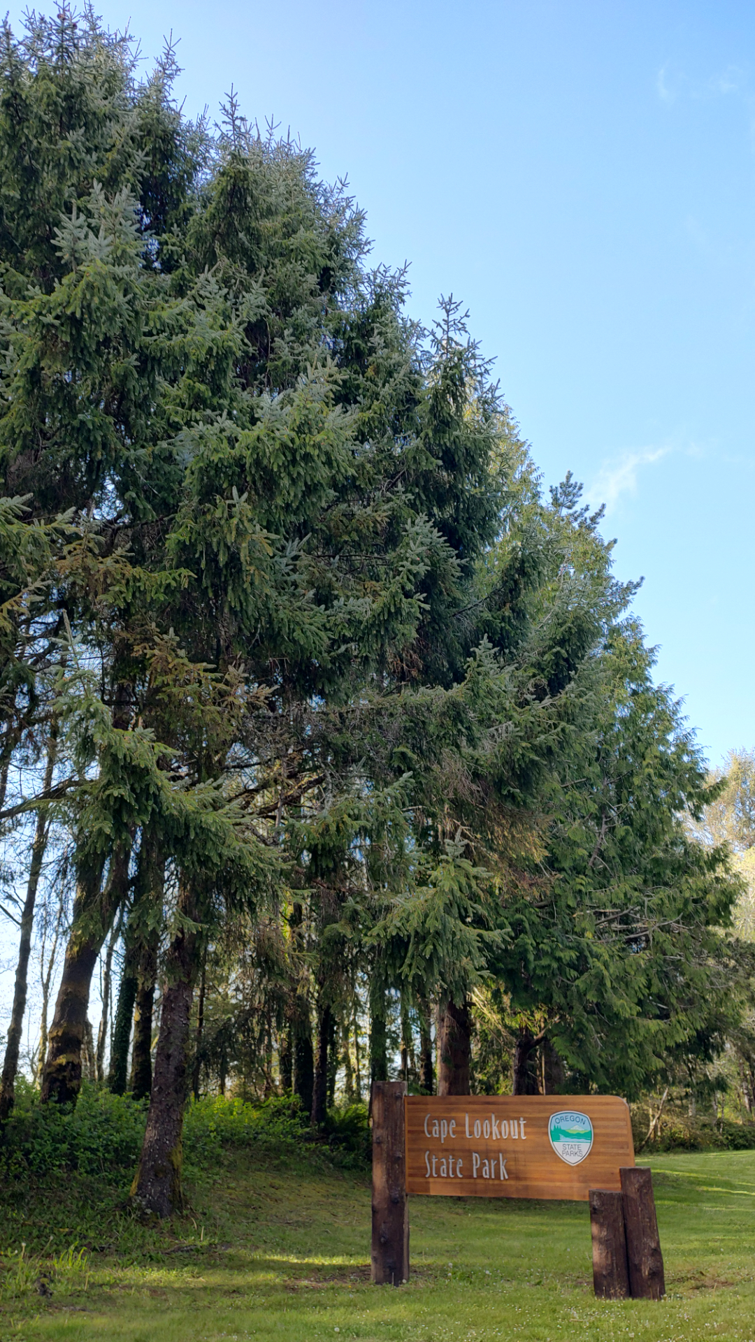 20250422_182909_HDR.jpg