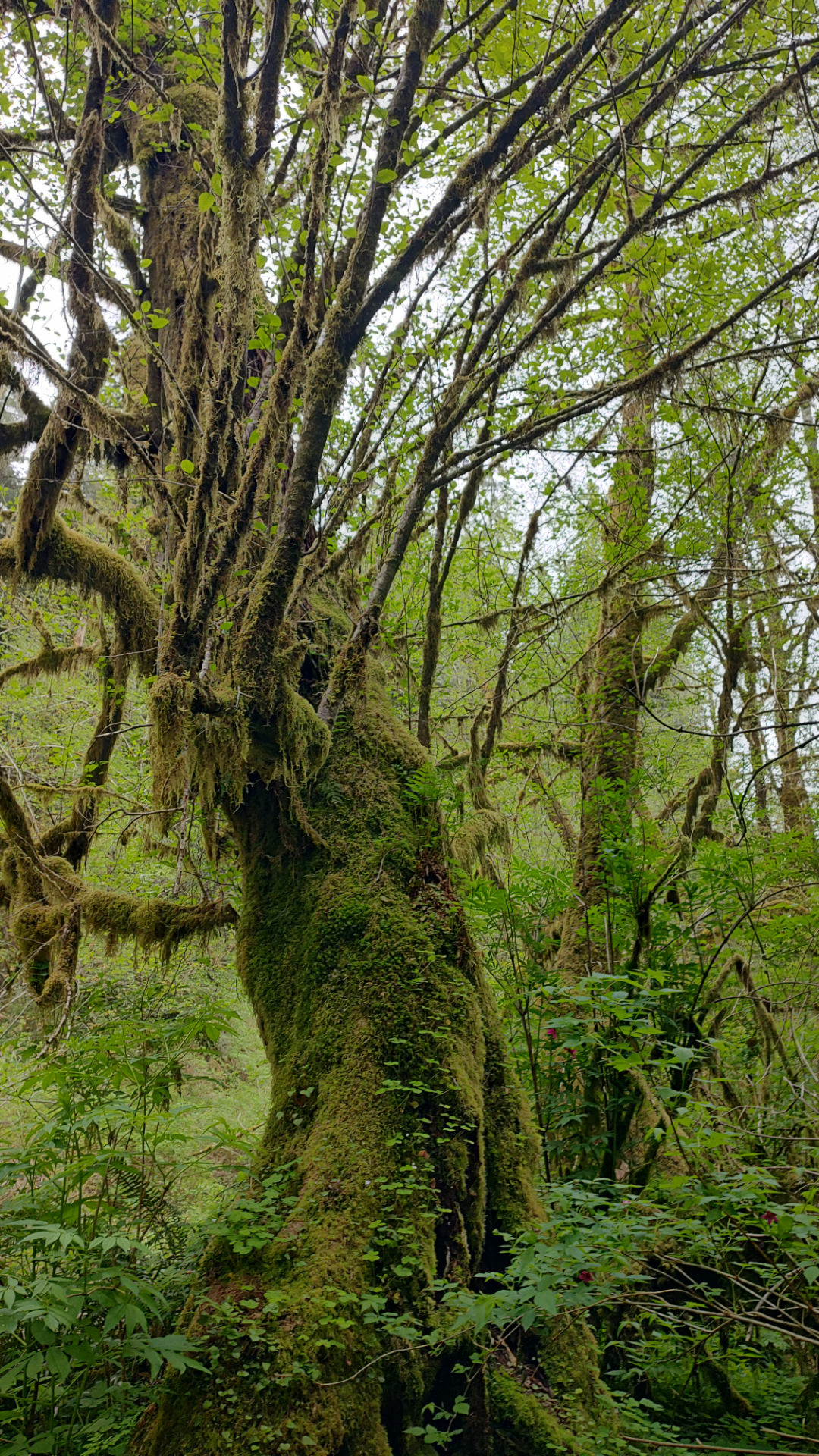 IMG_20250427_151609695_HDR.jpg